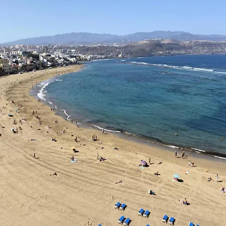 In Palmas De Gran Canaria Las Palmas de Gran Canaria
